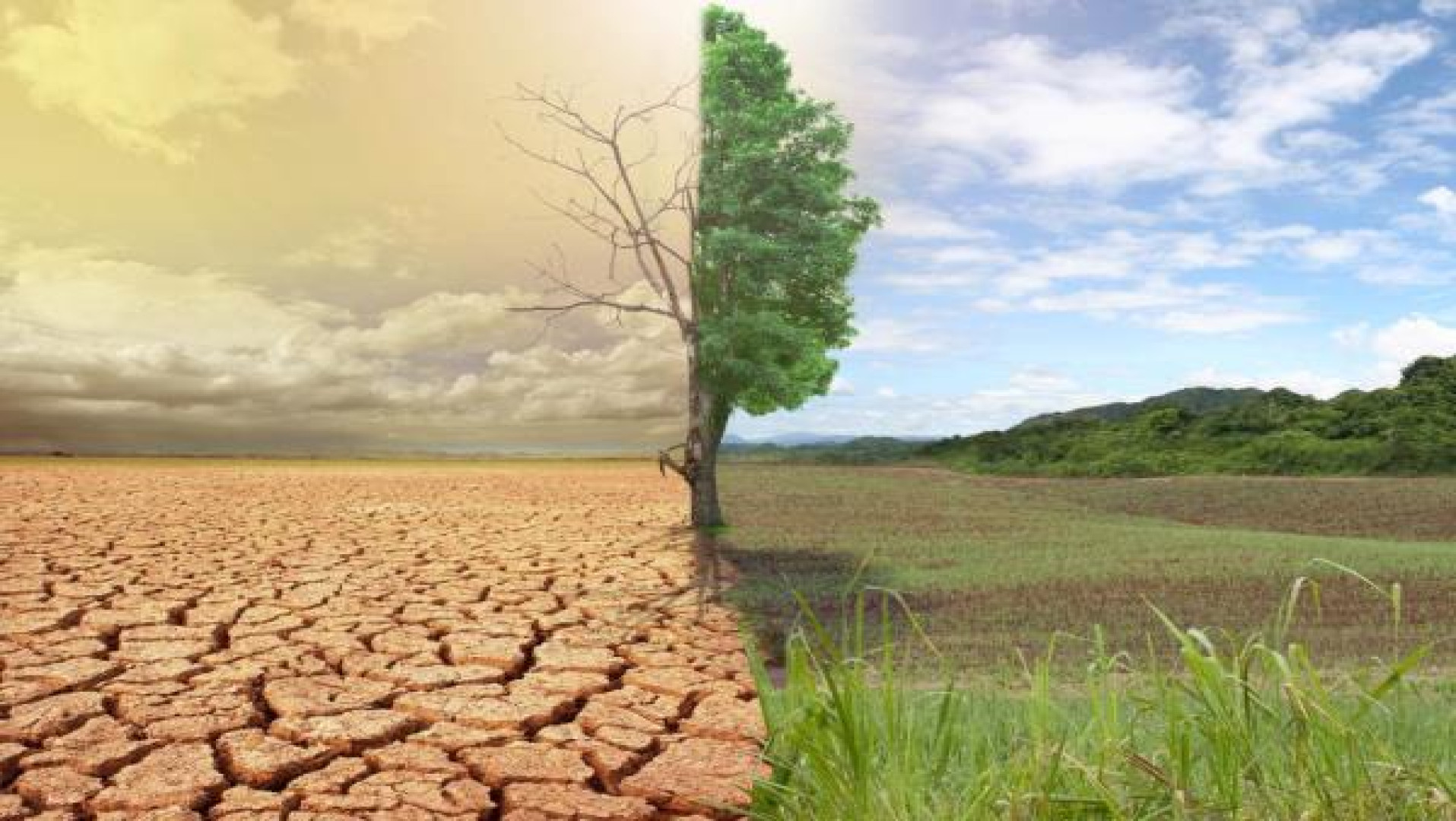 Bologna